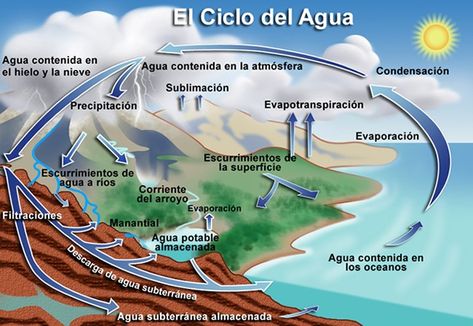 11 Ideas De Ciclos Biogeoquimicos Ciclo Del Carbono Ciclo Del Nitrógeno Fotosintesis