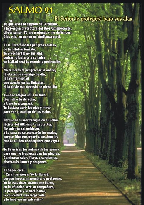 Imagenes Cristianas Con Frases Salmo 91 Salmos Salmo 91 Salmo