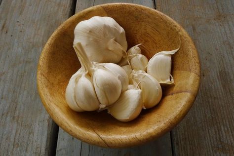 31 Ideas De Ajo Ajo Beneficios Del Ajo Cultivo De Ajos