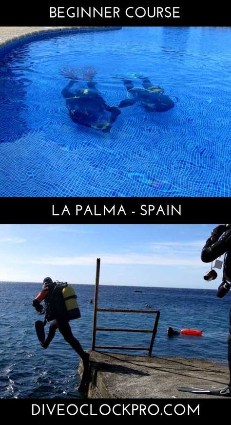 390 Dive O Clock Ideas In 2021 Diving Scuba Diving Scuba