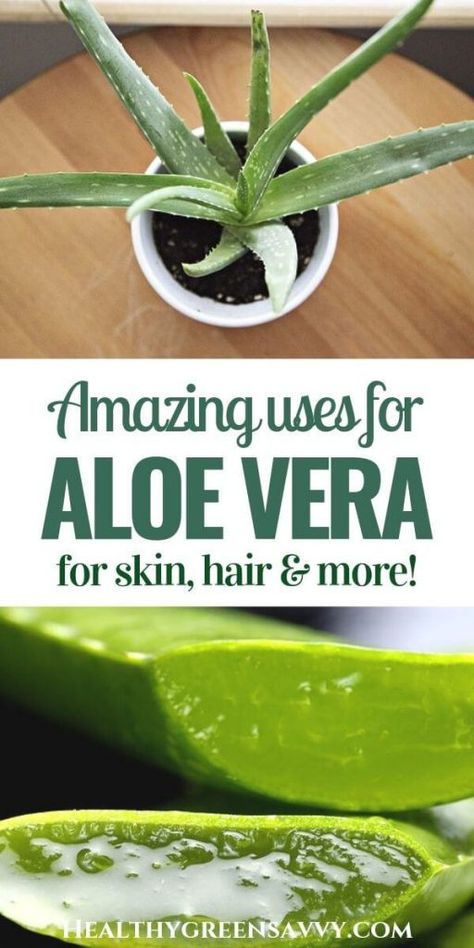 How To Store Aloe Vera Gel For Long Time Hindi How To Preserve Aloe Vera Gel At Home Youtube Fresh Aloe Vera Gel Pure Aloe Vera Gel Aloe Vera Gel