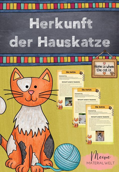 Neue klasse kennenlernen berufsschule