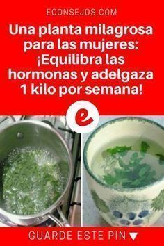adelgazar kilo por semana adelgazar kilo por semana