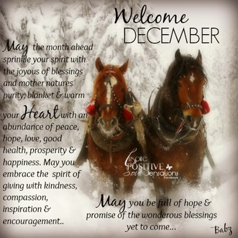 a1c61ec498bc3acf7e4c2ae14aec0338 welcome december quotes hello december quotes