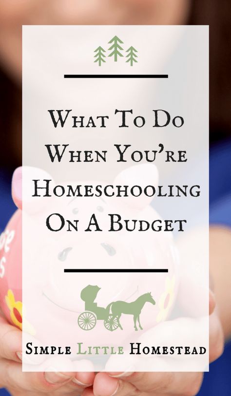 choosy homeschooler choosy homeschooler
