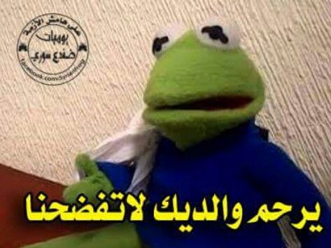 الضفدع الثور الهندي اسمه العلمي Hoplobatrachus Tigerinus موطنه في وادي السند في مينمار وبنغلادش والهند وباكستان ونيبا Animals Beautiful Amazing Frog Frog