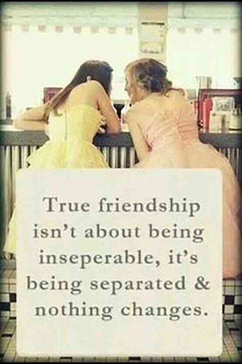 50 Friendship Quotes To With Your Best Friend Human 50 Friendship Quotes To With Your Best Friend Human