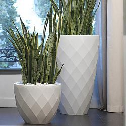 Black planter squares up sleek and modern. Protected for indoor ... Black planter squares up sleek and modern. Protected for indoor ...