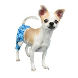 Shark Swim Trunk Dog Swimming Small Dog Clothes Dogs
