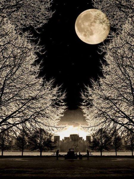 La belleza de la luna A31fa0ad5422a122f1ee11a3a1281e6a
