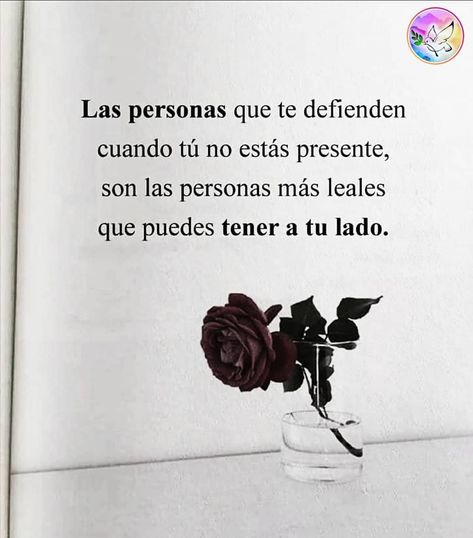 160 Ideas De Mensajes Y Pensamientos En 2021 Pensamientos Mensajes Frases Bonitas