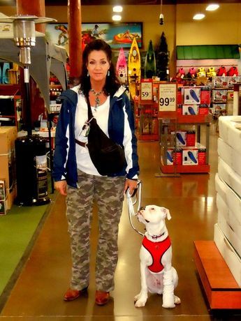 Teach Your Deaf Dog The Watch Me Cue Deaf Dog Dog Leash