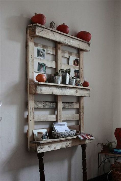 Regal aus Paletten 51 Budget-freundliche DIY Ideen - küchenregal selber bauen Regal aus Paletten 51 Budget-freundliche DIY Ideen - küchenregal selber bauen