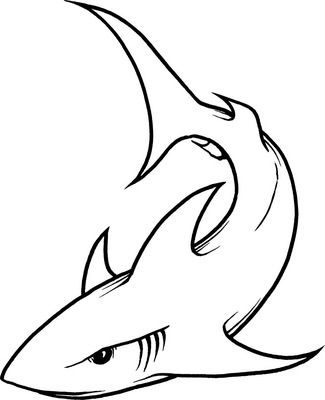 shark drawing template rome fontanacountryinn com shark cut out template