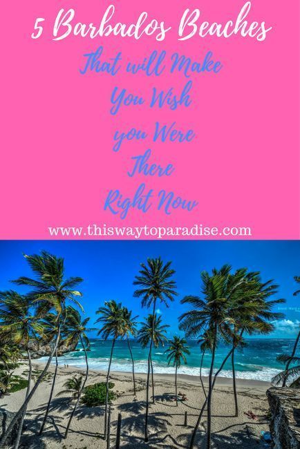 8 Caribbean Islands You Should Be Travelling To Right Now Caribbean Islands Caribbean Travel Caribbean