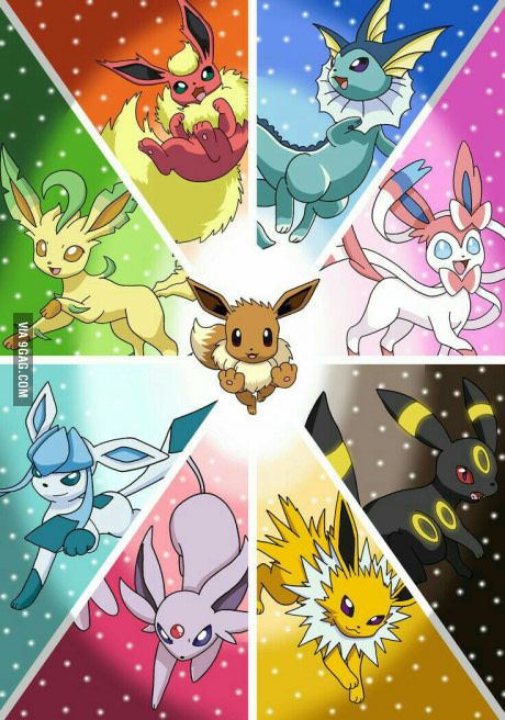 Evee S Evolutions Which One Is Your Favourite Pokemon Poster Pokemon Eevee Pokemon Eeveelutions