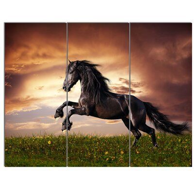 Image by Shutterstock Beautiful Black Friesian Horse Women/'s Tee