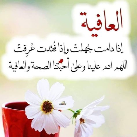 إنجو بنفسك من النار باﻷستغفار قال تعالى وما كان الله ليعذبهم وأنت فيهم وما كان الله معذبهم وهم يستغفرون تطيب Shoulder Bag Gucci Dionysus Dionysus