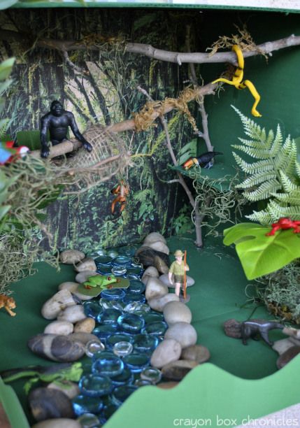 Rainforest Small World Amazon River Basin Rainforest Project