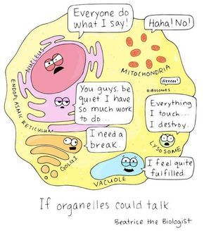 If Organelles Could Talk | Science cells