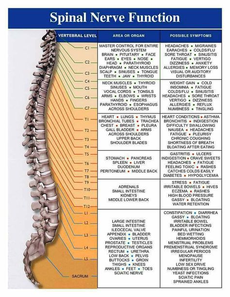 dolore pelvico e dyspepsia symptoms