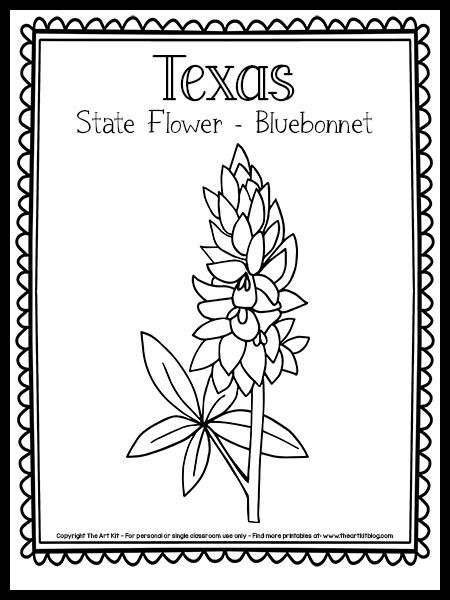 Bluebonnet Coloring Page