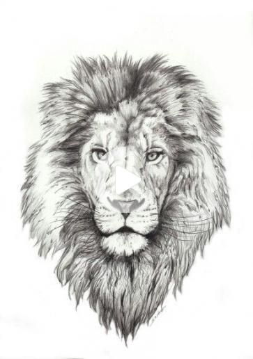 Comment Dessiner Une Des Idees De Tatouage De Lion 68 Idees Tete De Lion Dessin Dessin Lion Tatouage Tete De Lion Comment Dessiner Une Des Idees De Tatouage De Lion 68 Idees Tete De Lion Dessin Dessin Lion Tatouage Tete De Lion