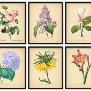 Plant Poster Flowers Photography Minimalist Wall Art Flower Prints Botanical Prints Plant Art Wildflowers Print Botanical Art
