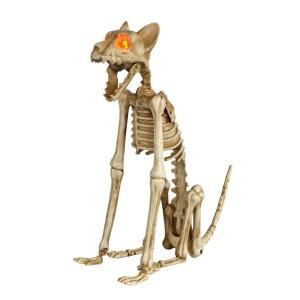 15 In Skeleton Sitting Cat With Led Illuminated Eyes Halloween Skeletons Halloween Outdoor Decorations Halloween Skeleton Decorations
