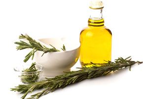 Use Rosemary To Increase Brain Function Wild Oats Temel Yaglar Sifali Otlar Bi Tki Use Rosemary To Increase Brain Function Wild Oats Temel Yaglar Sifali Otlar Bi Tki