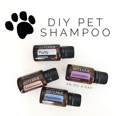 doterra purify goldendoodle