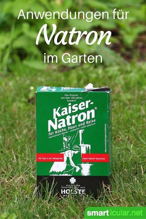 Gartendusche Sichtschutz - Ideen für die Outdoor-Dusche gesucht - sichtschutz fur dusche Gartendusche Sichtschutz - Ideen für die Outdoor-Dusche gesucht - sichtschutz fur dusche