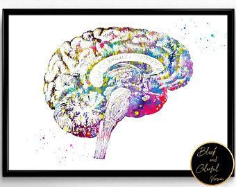 Hippocampus digital print