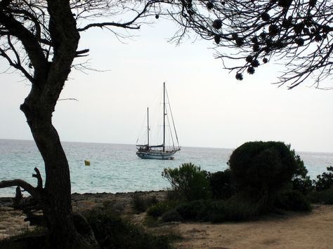 Kennenlernen reise