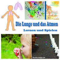 Projekt Das Bin Ich Und Mein Koerper Kindergarten Und Kita Ideen Projekte Im Kindergarten Korper Vorschule Sprachforderung Kindergarten