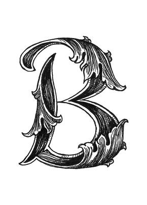 Leaf Script B Art Print By Hannah Scully X Small Lettering Alphabet Alphabet Art Creative Lettering