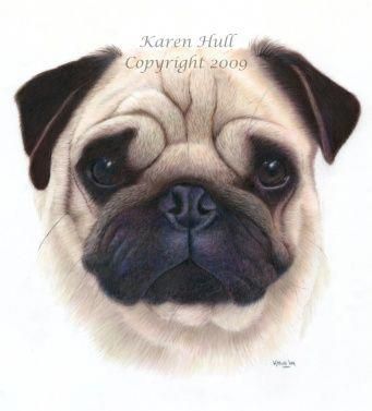 Acquire Fantastic Tips On Pug They Are Actually Readily Available