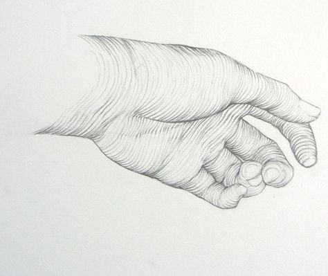 synonym for contour line art synonym for contour line art