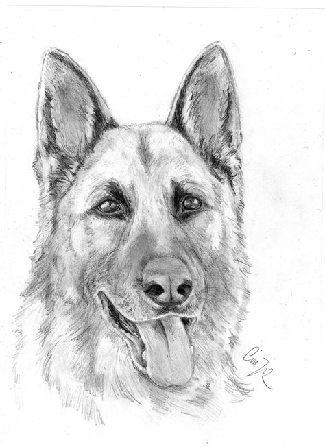 Disegni Difficili Da Colorare Fantastico Disegni Di Cane Difficili