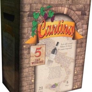 Solomon Grundy 7 day 6 bottle wine kit Rose