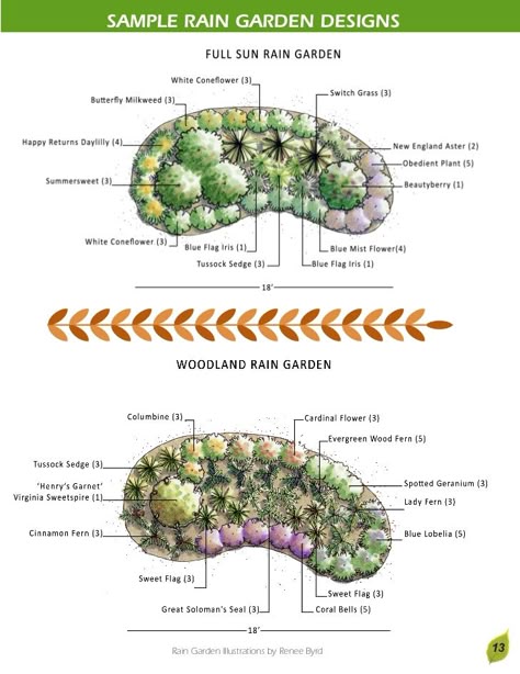 rain garden diagram Central Texas Gardener and Austin Water | local