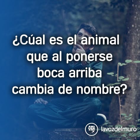 84 Ideas De Chistes Chistes Imágenes Graciosas Gracioso