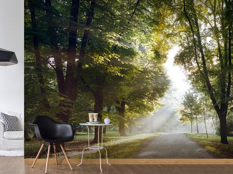 Télécharger gratuitement Images Papier Peint Moderne Promenade Matinale Wallpaper Outdoor actualisé par