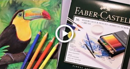 So As I Haven T Done A Pencil Review In A While Lets Look At