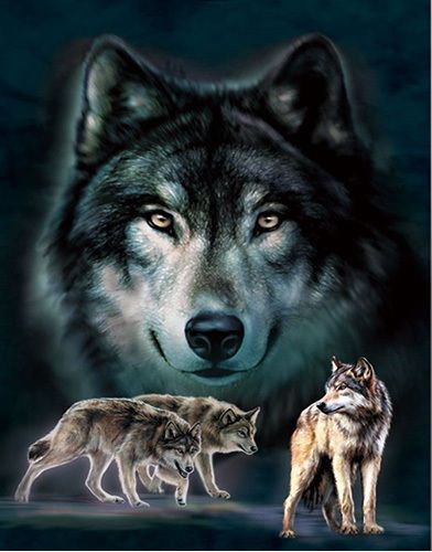 3-FLIP PICTURE WOLF SLED TEAM 3D WILDLIFE LENTICULAR PRINT WALL ART 3-FLIP PICTURE WOLF SLED TEAM 3D WILDLIFE LENTICULAR PRINT WALL ART