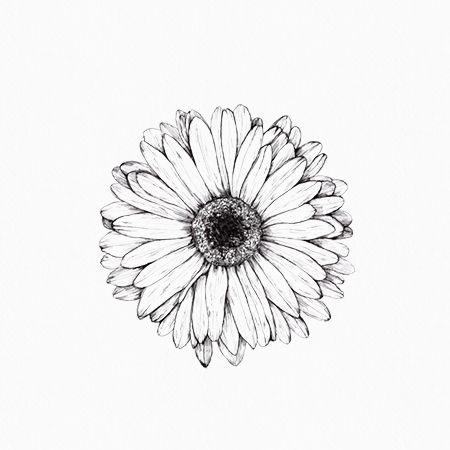 61 Small Daisy Tattoos Ideas With Meaning In 2020 Daisy Tattoo Designs Daisy Tattoo Small Daisy Tattoo