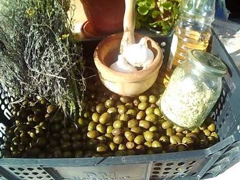 18 Ideas De Aceitunas En 2021 Aceitunas Aliñar Aceitunas Encurtidos