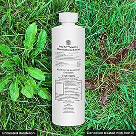 Iron X Selective Weed For Lawns From Gardens Alive Iron X Selective Weed For Lawns From Gardens Alive