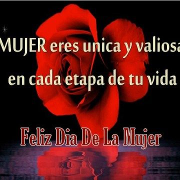 Imagen Con Rosas Rojas Y Poemas En El Dia De La Mujer Dia De La Mujer Feliz Día De La Mujer Feliz Día Internacional De La Mujer