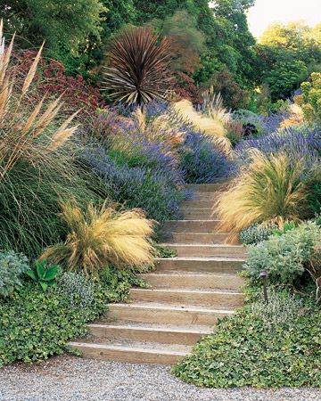 34 best Kiesgarten images on Pinterest Landscaping, Gardens and - vorgarten gestalten mit kies und grasern 34 best Kiesgarten images on Pinterest Landscaping, Gardens and - vorgarten gestalten mit kies und grasern